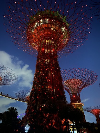 Supertree Grove tree in Singapore, all red for a light spectacle 